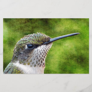 Papelaria Pequeno Hummer
