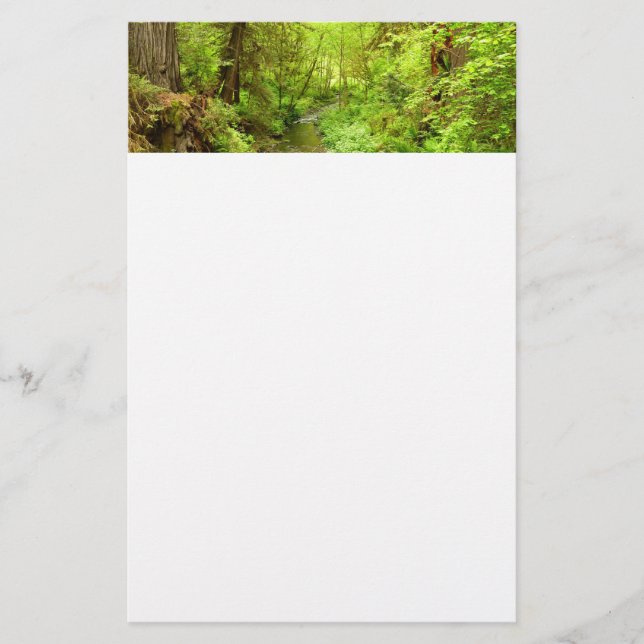 Papelaria Perdido Homem Creek II no Parque Nacional de Redwo (Frente)