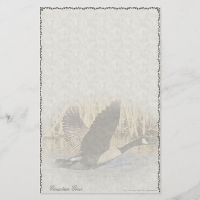Papelaria Personalizada do Ganso Canadense (Frente)