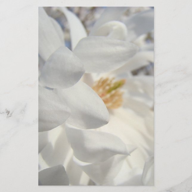 Papelaria personalizada Flor de Magnólia Branca (Frente)