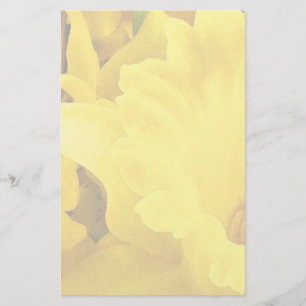 Papelaria Pétalas Daffodil