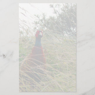 Papelaria Pheantastic