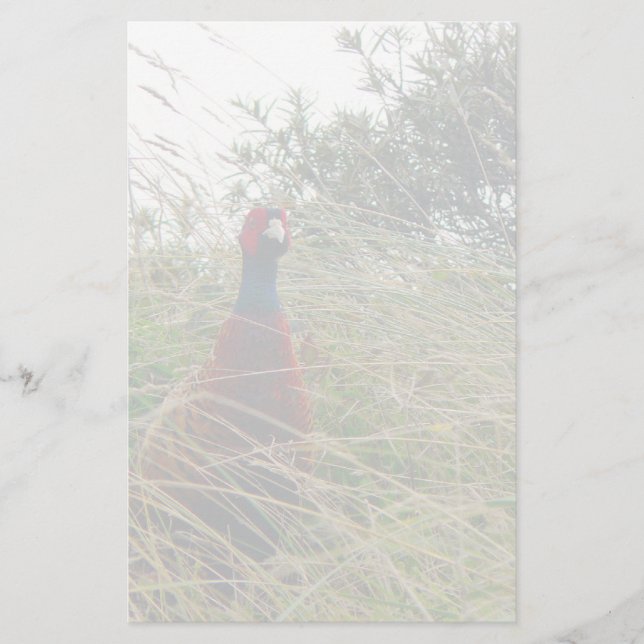 Papelaria Pheantastic (Frente)