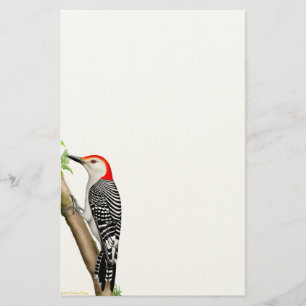 Papelaria Pica-pau inchado vermelho em uns artigos de