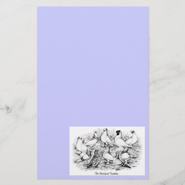 Papelaria Pigeons de Tumbler de faces curtas (Frente)