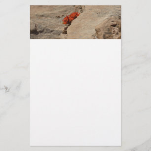 Papelaria Pincel Indiano em Rochas em Zion