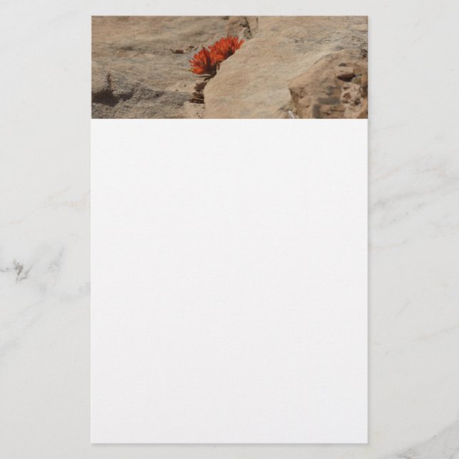 Papelaria Pincel Indiano em Rochas em Zion (Frente)