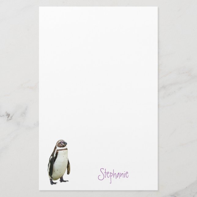 Papelaria Pinguim Animal Personalizado Stationery (Frente)