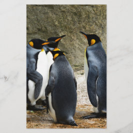 Papelaria Pinguim-rei