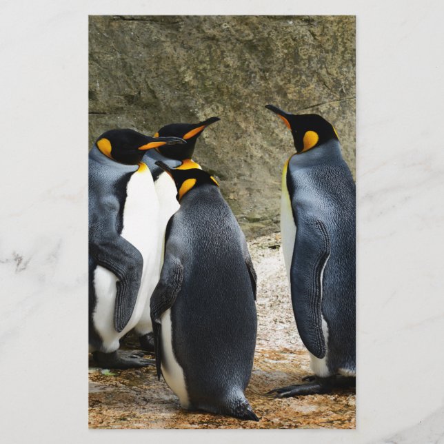 Papelaria Pinguim-rei (Frente)