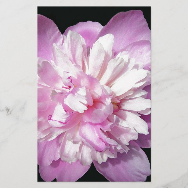 Papelaria Pink Peony (Frente)