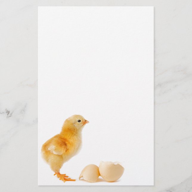 Papelaria Pintinho (Frente)