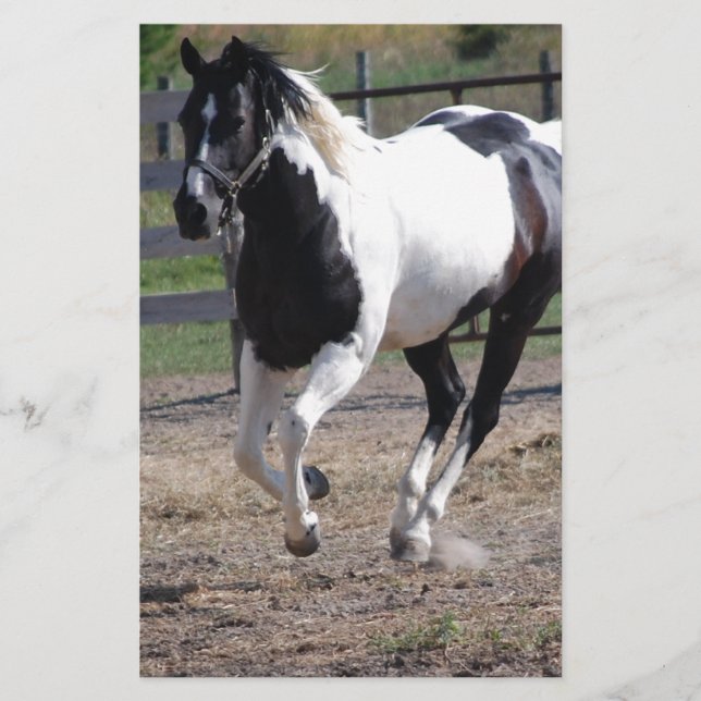 Papelaria Pinto Paint Horse (Frente)