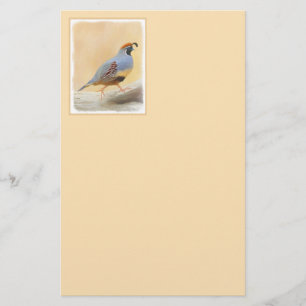 Papelaria Pintura em Quail de Gambrel — Arte original sobr