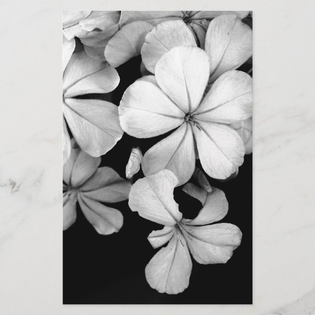 Papelaria Plumbago preto e branco (Frente)