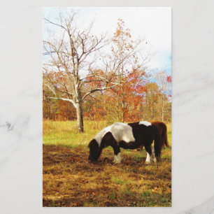 Papelaria Pôneo/Cavalo de Miniatura Preta e Branca