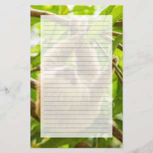 Papelaria Preguiça de cabeça para baixo das imagens de