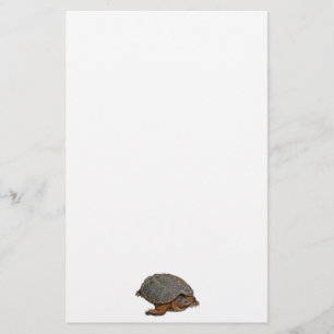 Papelaria Presente de Amante do Terrapin da Tartaruga