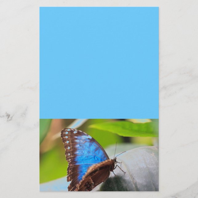 Papelaria Presentes do destino (Frente)