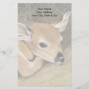 Papelaria Primavera Fawn