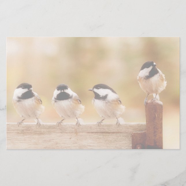 Papelaria Quatro Chickadees bonitos (Frente)