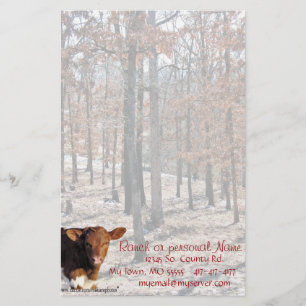 Papelaria QuellaOaksStationery-personalize