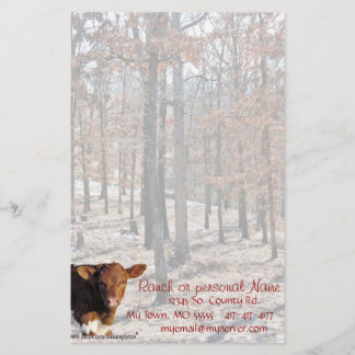 Papelaria QuellaOaksStationery-personalize