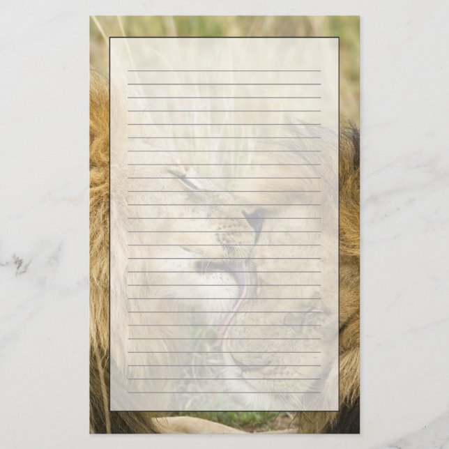 Papelaria Quênia, Masai Mara (Frente)
