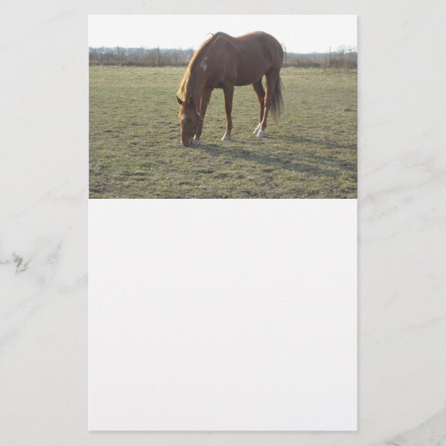 Papelaria Raça de Cavalo (Frente)