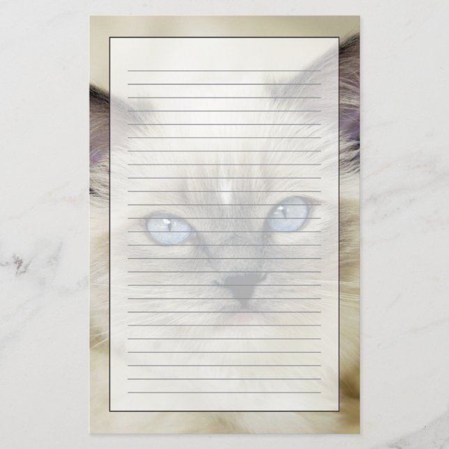 Papelaria Ragdoll kitten (Frente)