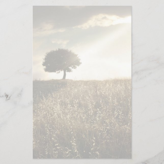 Papelaria Raios de luz atravessam o dramático céu (Frente)