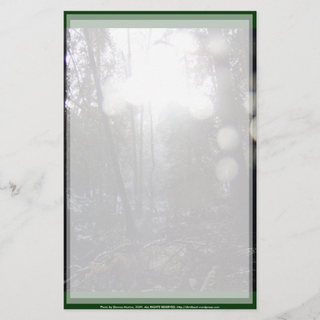 Papelaria Raios do Sol Floresta na Neve #64 (Frente)