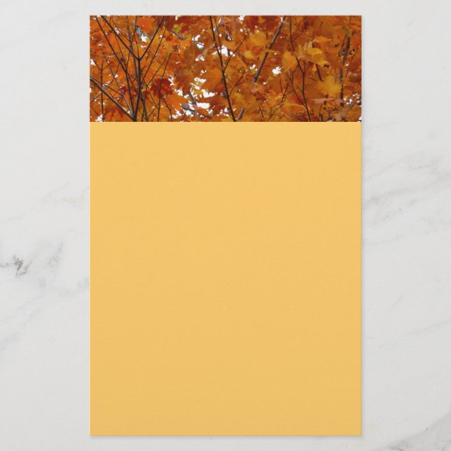 Papelaria Ramais de Folhas de Maple I Orange Autumn (Frente)