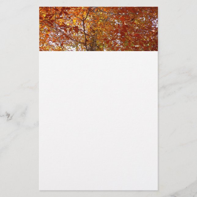 Papelaria Ramos de Folhas de Laranja Natureza de Outono (Frente)