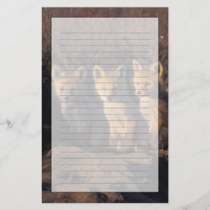 Papelaria raposa-vermelha, Vulpes vulpes, filhotes