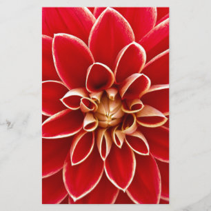 Papelaria Red Dahlia