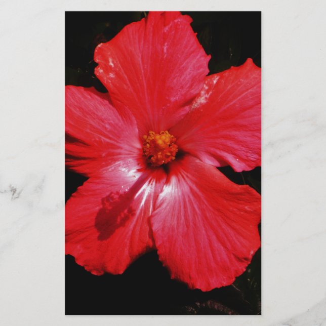 Papelaria Red Hibiscus (Frente)