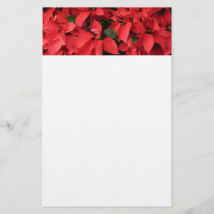 Papelaria Red Poinsettias II Feriado de Natal Floral