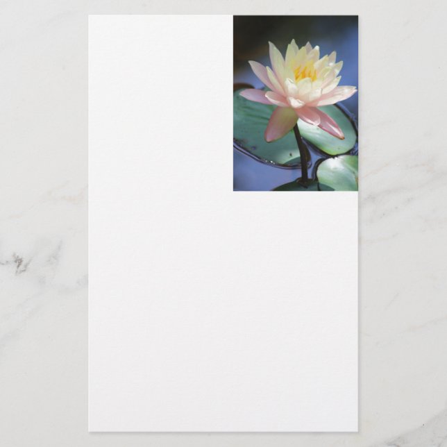 Papelaria Reflexão clara (Frente)