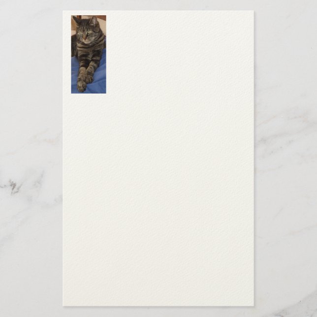 Papelaria Regal Dave Stationery (Frente)