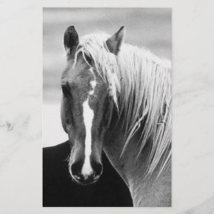 Papelaria Retrato de Cavalo BW