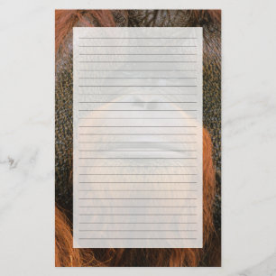 Papelaria Retrato de Orang-utango Macho, Geórgia, EUA