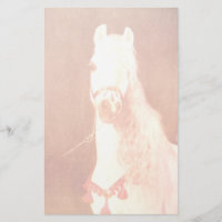 Rico White Circus Pony Vintage Estilo Gypsage
