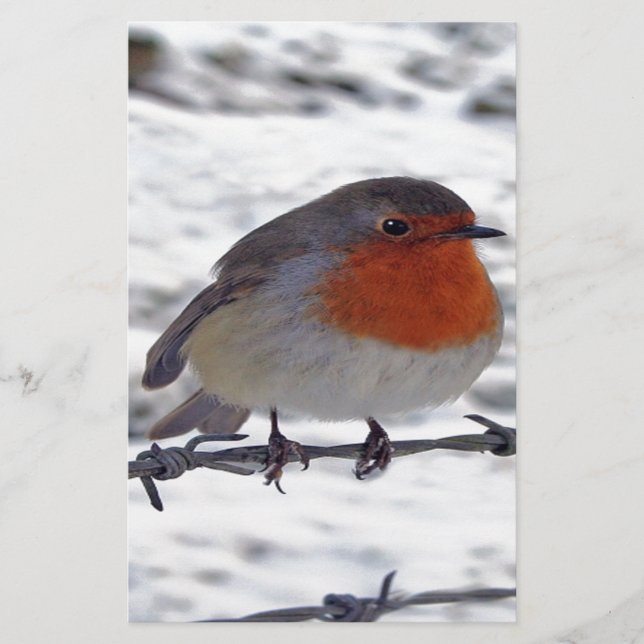 Papelaria Robin Redbreast (Frente)