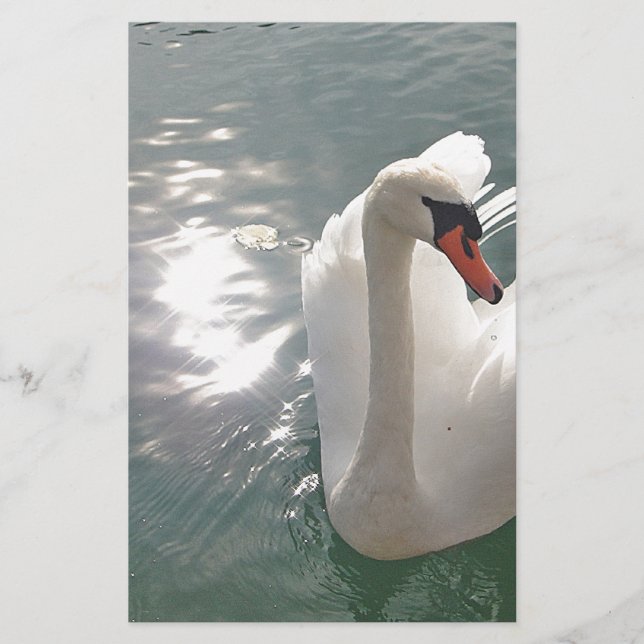 Papelaria Romantischer weisser Schwan (Frente)