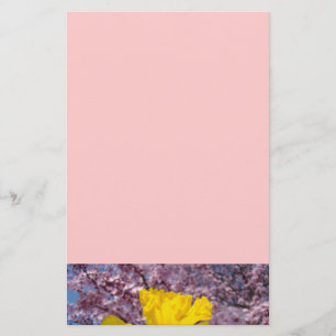 Papelaria Rosa Árvore Floresce Narcisos da Primave