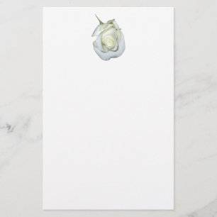 Papelaria Rosa branco #1