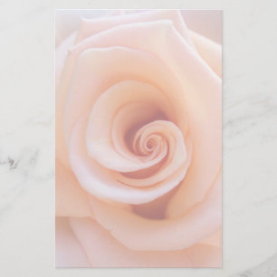 Papelaria Rosa de Pêssego