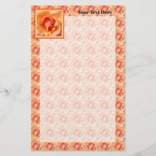 Papelaria Rosa do Apricot Peach Flower Close Up Photo Design