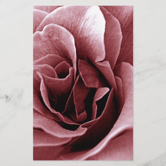 Papelaria Rosa Flor Monocromática em Close Up (Frente)